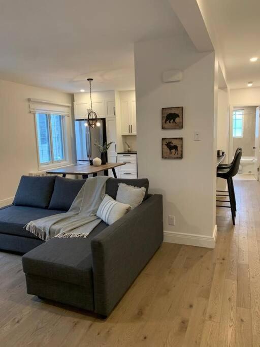 Free Parking, Beautiful 4 1/2- 2 Bedroom Apartment Montréal Esterno foto